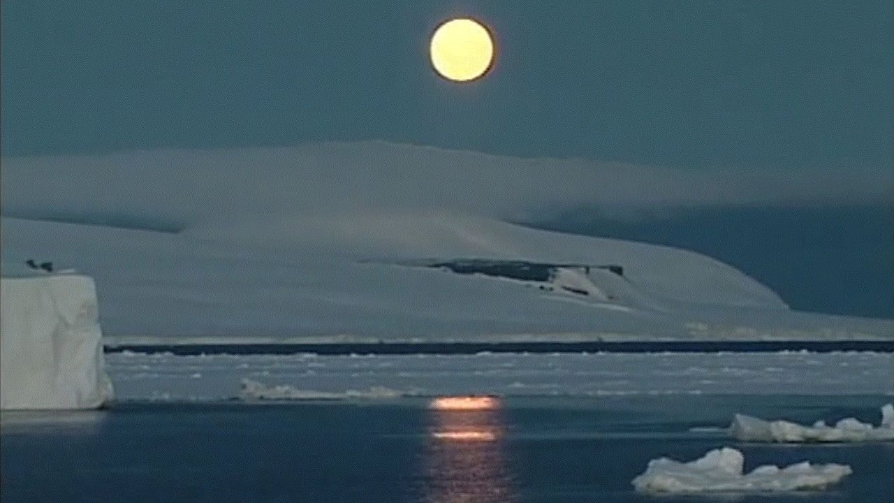 Antarctica: A Frozen History poster