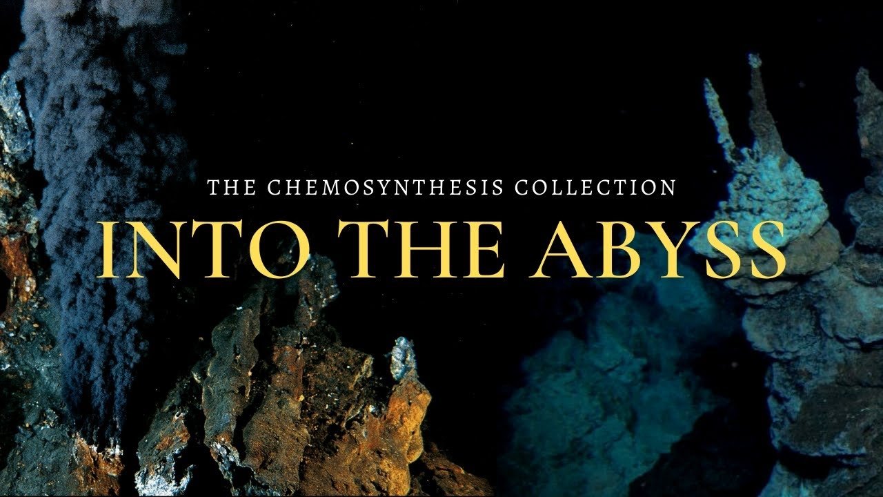 Into the Abyss: Chemosynthetic Oases poster