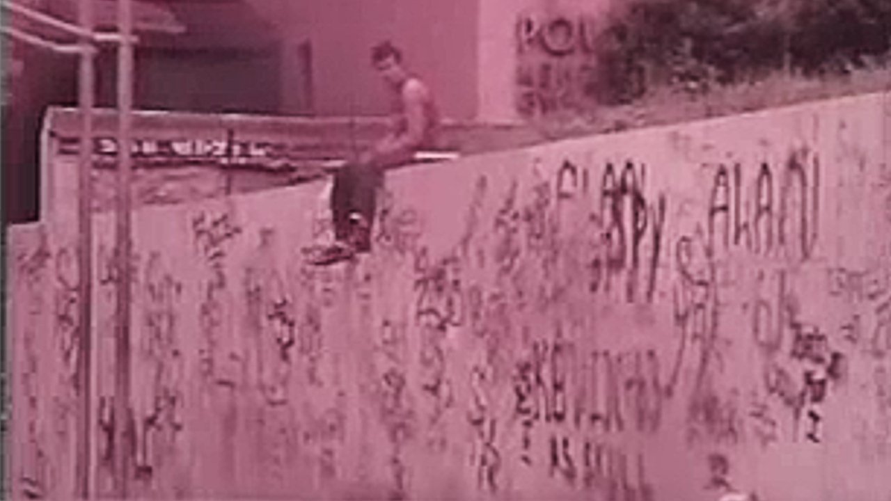 The Vandals poster