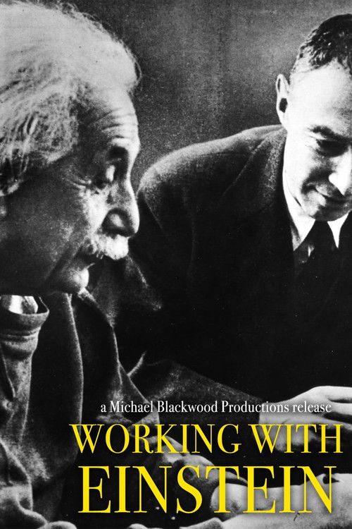 Working with Einstein