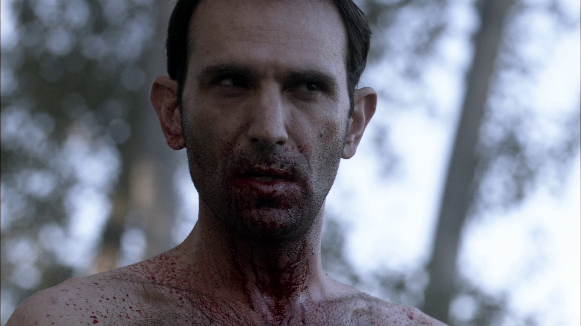 Assistir https://thenightseriesbr.com/episodios/assistir-sobrenatural-temporada-6x8/ em HD