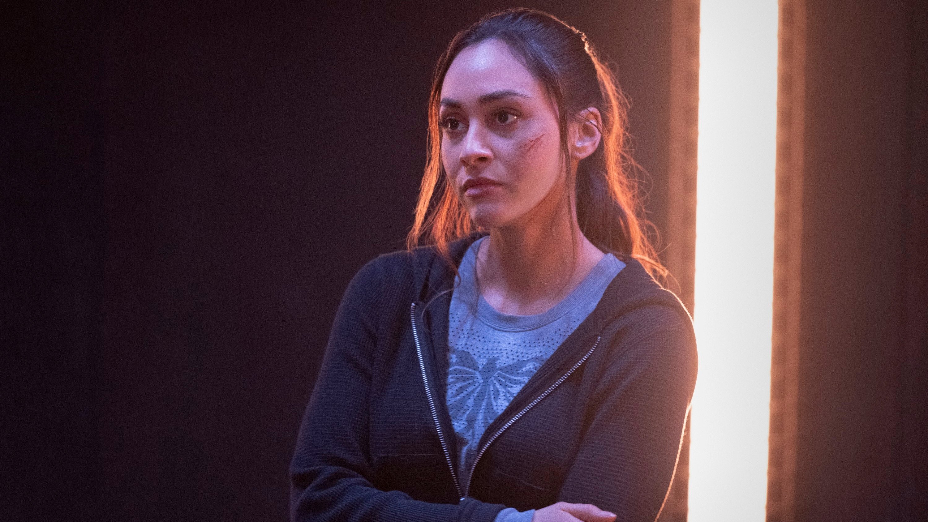 Assistir https://thenightseriesbr.com/episodios/assistir-os-100-temporada-7x12/ em HD
