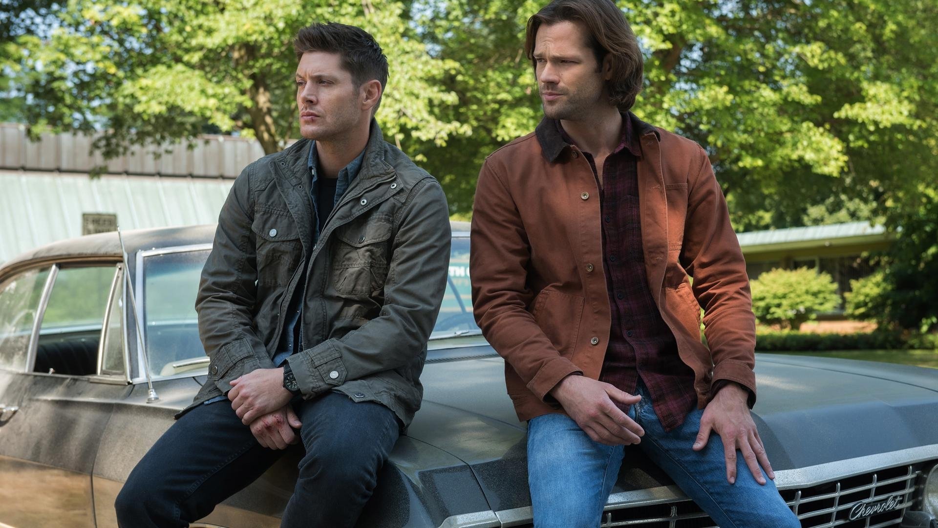 Assistir https://thenightseriesbr.com/episodios/assistir-sobrenatural-temporada-13x1/ em HD