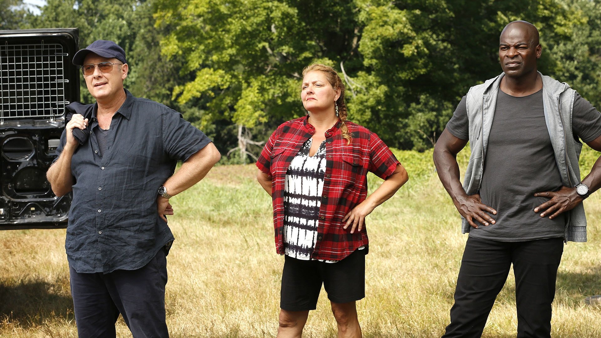 Assistir https://thenightseriesbr.com/episodios/assistir-lista-negra-5x3/ em HD