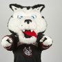 huskyverse
