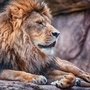 ZION-LION