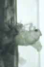 card-thumbnail