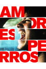 Amores Perros poszter