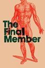 card-thumbnail