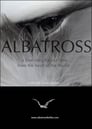 Albatross