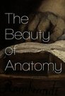 The Beauty of Anatomy