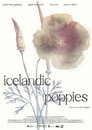 Icelandic Poppies poszter