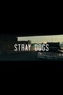 Stray Dogs poszter