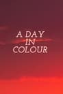 A Day in Colour