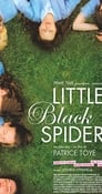 Little Black Spiders poszter