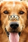 A Dog's Purpose poszter