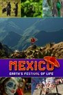 card-thumbnail