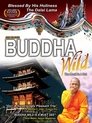 Buddha Wild: Monk in a Hut