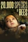 20,000 Species of Bees poszter