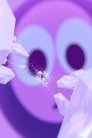 card-thumbnail