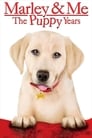 Marley & Me: The Puppy Years poszter