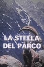 La Stella Del Parco poszter