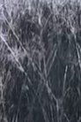 card-thumbnail