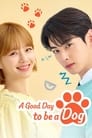 오늘도 사랑스럽개 poszter