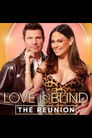 Love Is Blind: The Reunion poszter