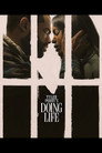 Doing Life poszter