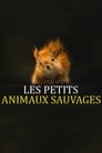 Les Petits Animaux Sauvages