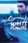 White Flowers poszter