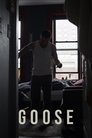 card-thumbnail