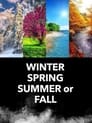 Winter Spring Summer or Fall poszter
