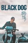 Black Dog poszter