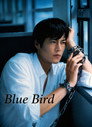 青い鳥 poszter