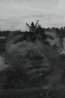 card-thumbnail