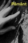card-thumbnail