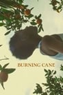 Burning Cane poszter