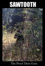 card-thumbnail