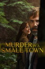 Murder in a Small Town poszter