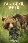 Big Bear Week poszter