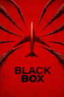 Black Box (Flight 298) poszter