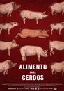 Swine Food poszter