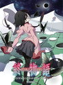Owarimonogatari poszter