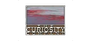 The Curiosity Company