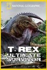 card-thumbnail