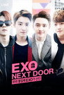 우리 옆집에 엑소가 산다 poszter