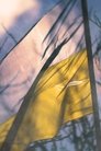card-thumbnail