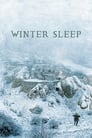 Winter Sleep poszter